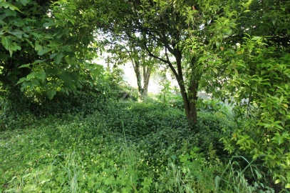Terreno para Venda em Cabreiros e Passos (São Julião)