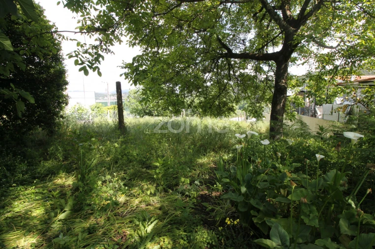 Terreno para Venda em Cabreiros e Passos (São Julião) Foto 17