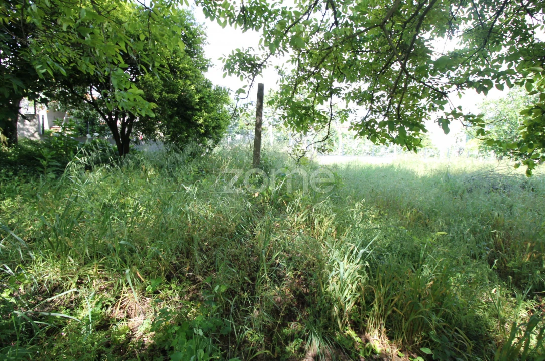 Terreno para Venda em Cabreiros e Passos (São Julião) Foto 15