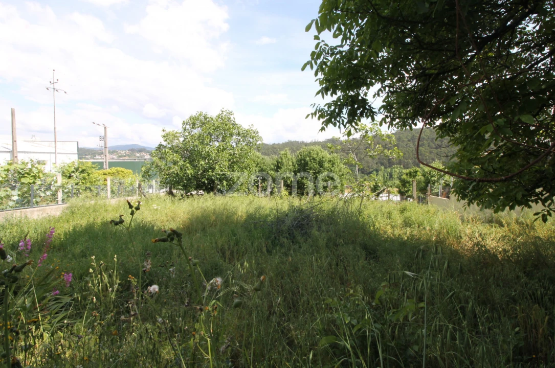 Terreno para Venda em Cabreiros e Passos (São Julião) Foto 12