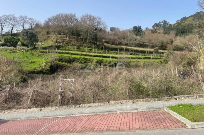 Terreno para Venda em Cerva e Limões