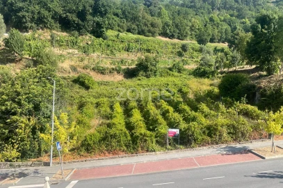 Terreno para Venda em Cerva e Limões