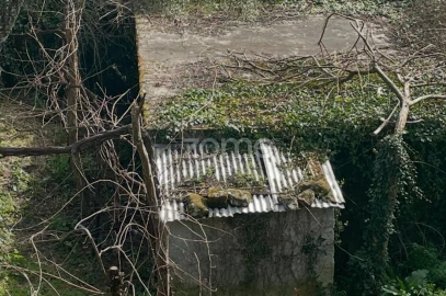 Terreno para Venda em Cerva e Limões