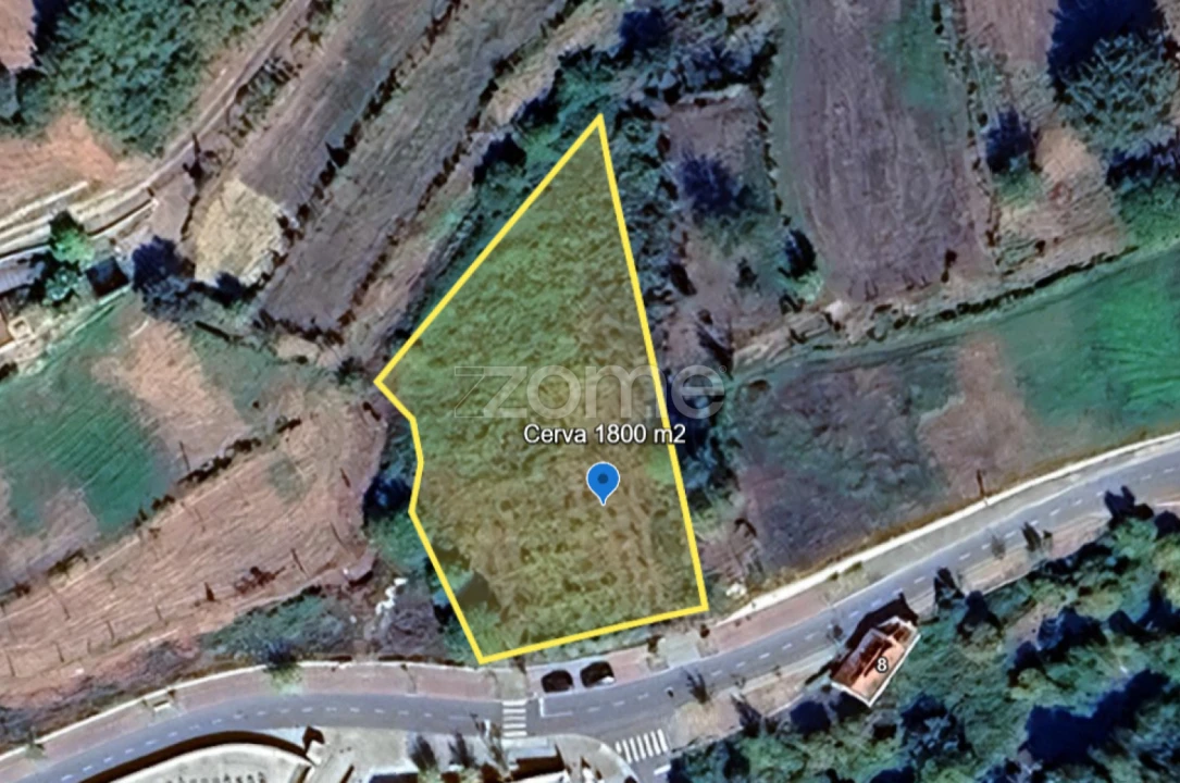 Terreno para Venda em Cerva e Limões Foto 1