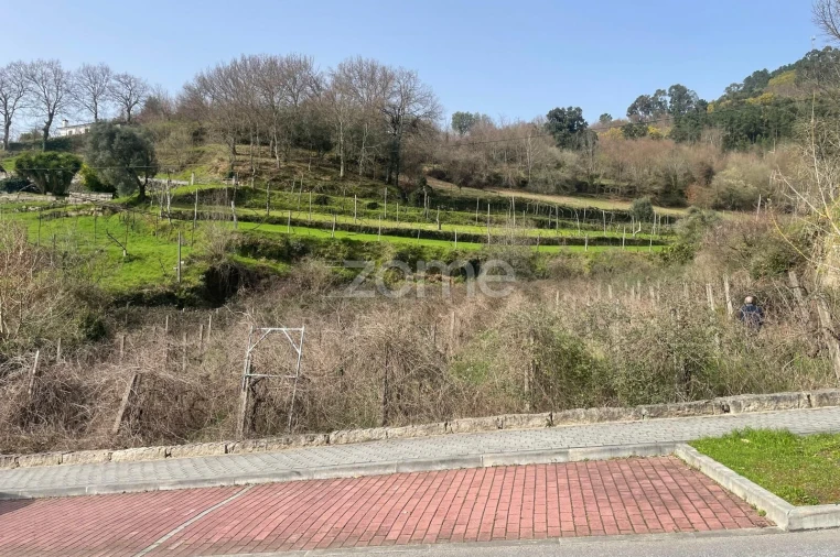 Terreno para Venda em Cerva e Limões Foto 2