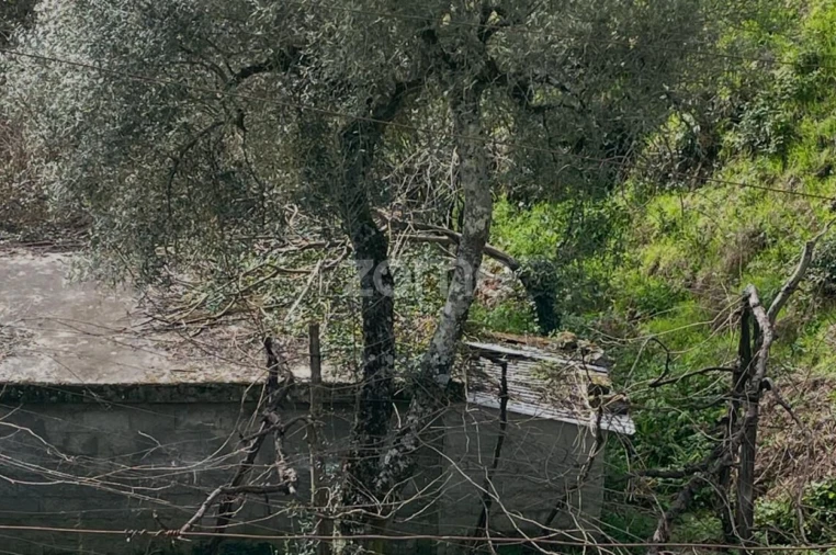 Terreno para Venda em Cerva e Limões Foto 4