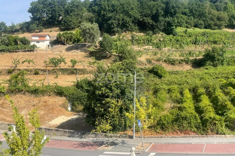 Terreno para Venda em Cerva e Limões Foto 16