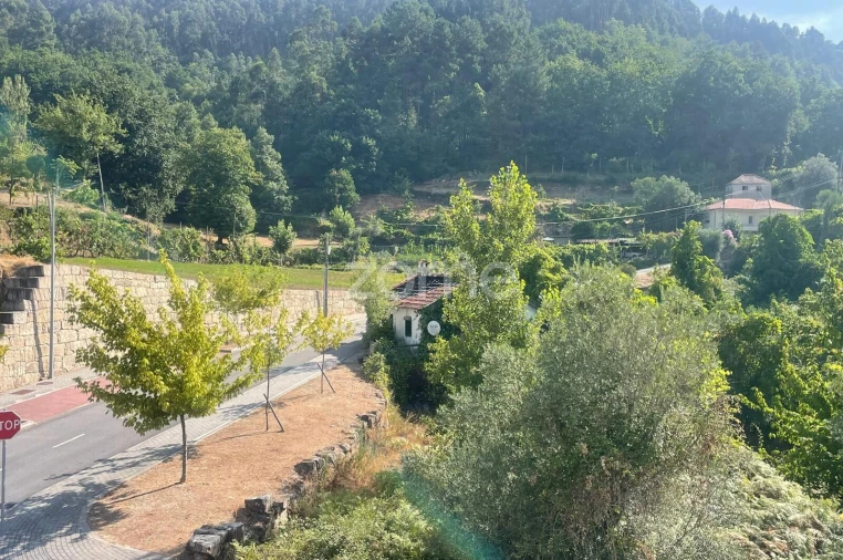 Terreno para Venda em Cerva e Limões Foto 17