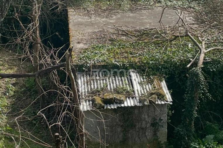 Terreno para Venda em Cerva e Limões Foto 5