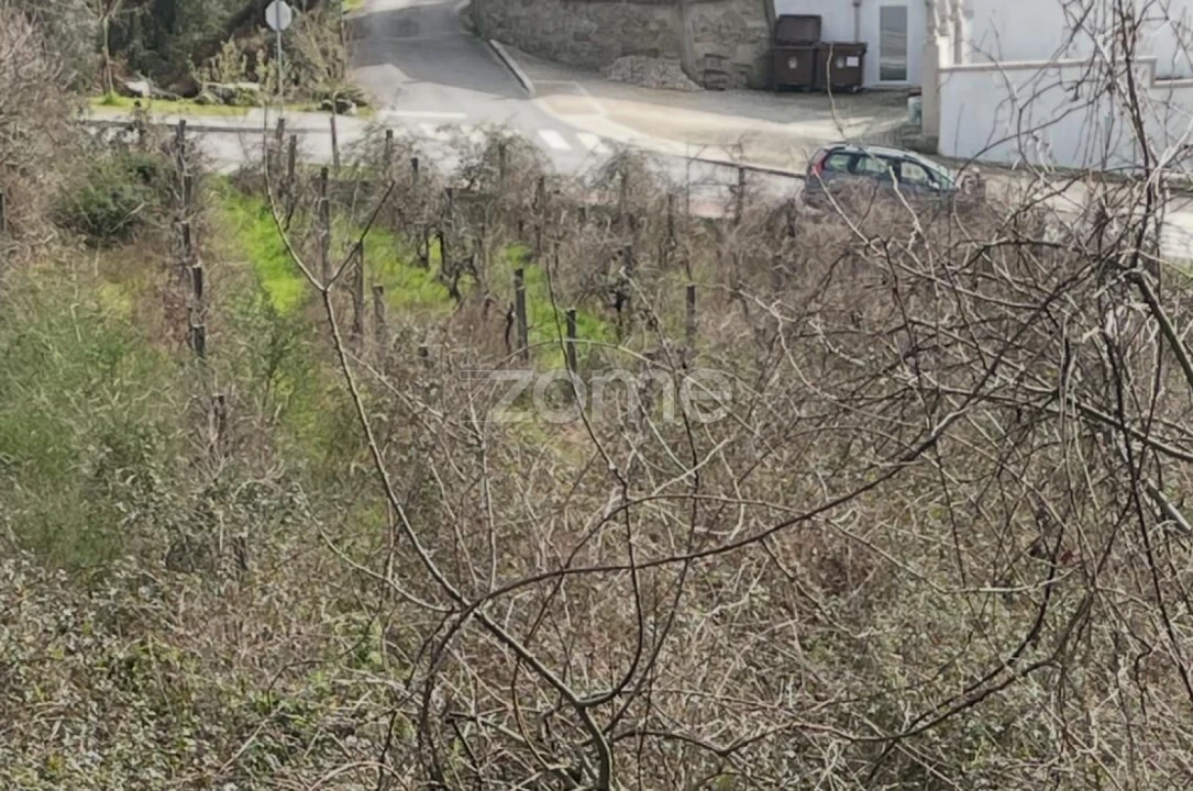 Terreno para Venda em Cerva e Limões Foto 3