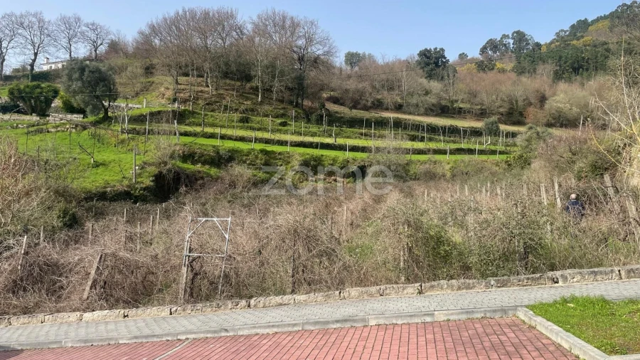 Terreno para Venda em Cerva e Limões