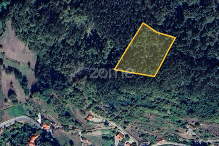 Terreno para Venda em Cerva e Limões Foto 17