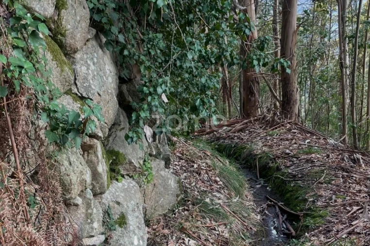 Terreno para Venda em Cerva e Limões Foto 4