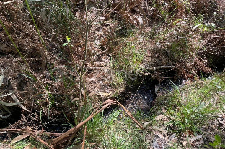 Terreno para Venda em Cerva e Limões Foto 7