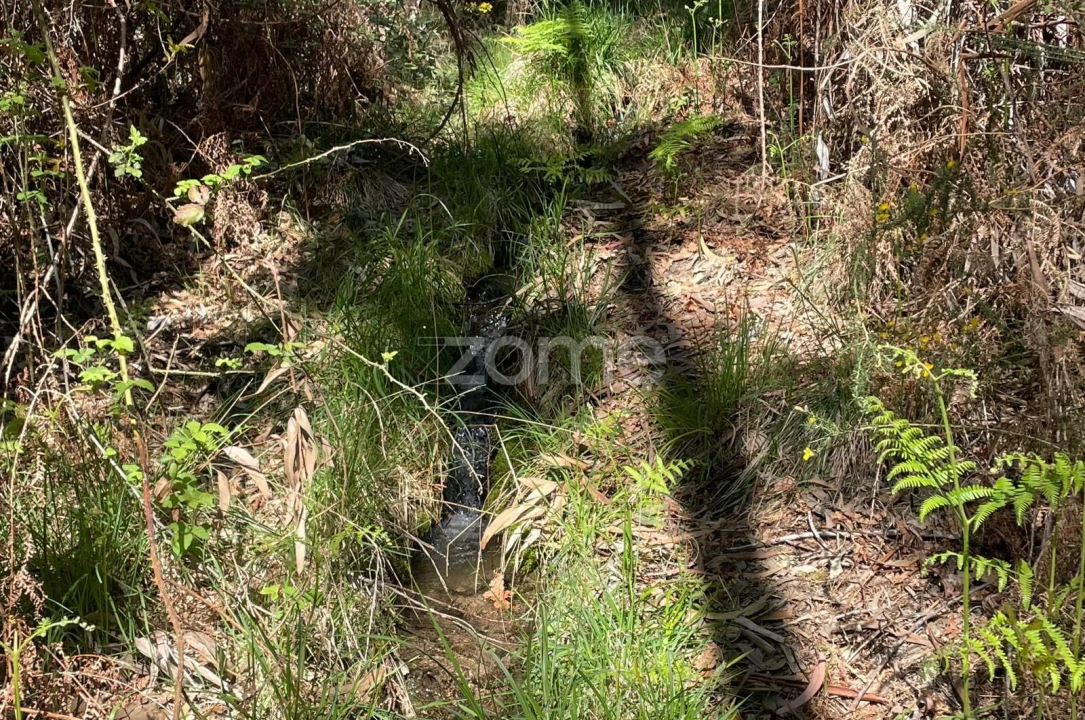 Terreno para Venda em Cerva e Limões Foto 11