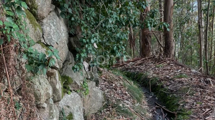 Terreno para Venda em Cerva e Limões