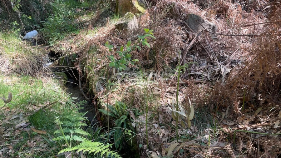 Terreno para Venda em Cerva e Limões