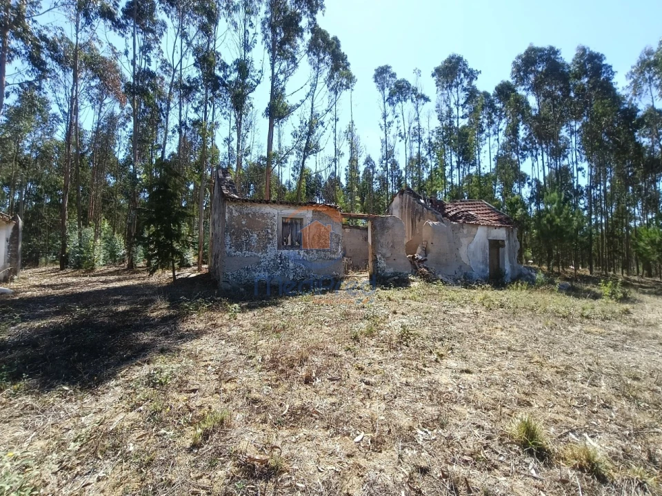 Moradia T2 para Venda em Maxial e Monte Redondo Foto 4
