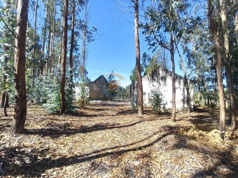 Moradia T2 para Venda em Maxial e Monte Redondo Foto 6