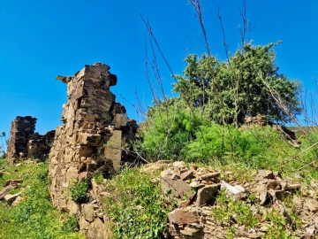 Terreno para Venda em Santa Catarina da Fonte do Bispo