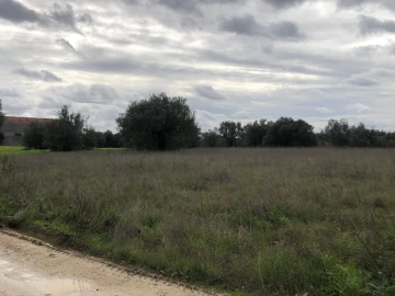Terreno para Venda em Alcanena e Vila Moreira