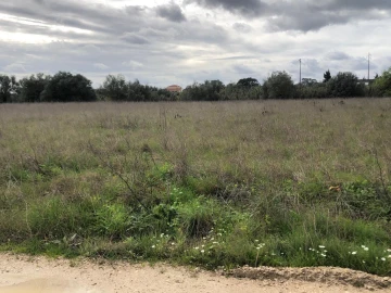 Terreno para Venda em Alcanena e Vila Moreira