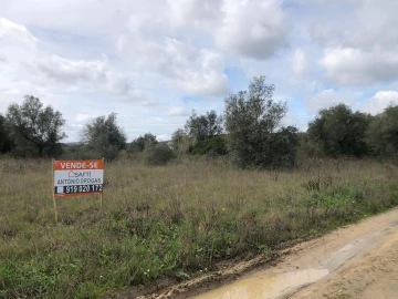 Terreno para Venda em Alcanena e Vila Moreira