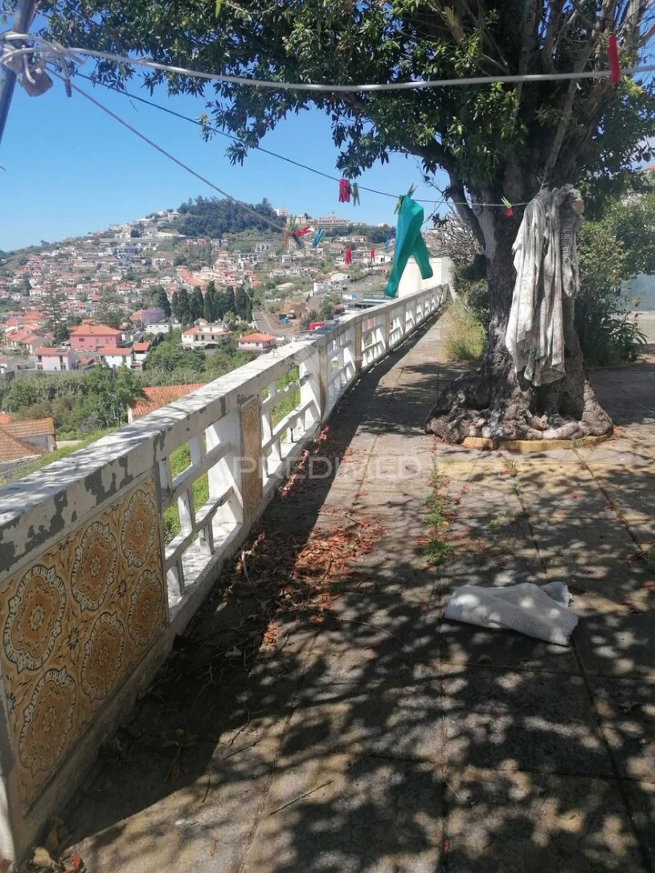 Quinta T9 para Venda em Santo Antonio Foto 9