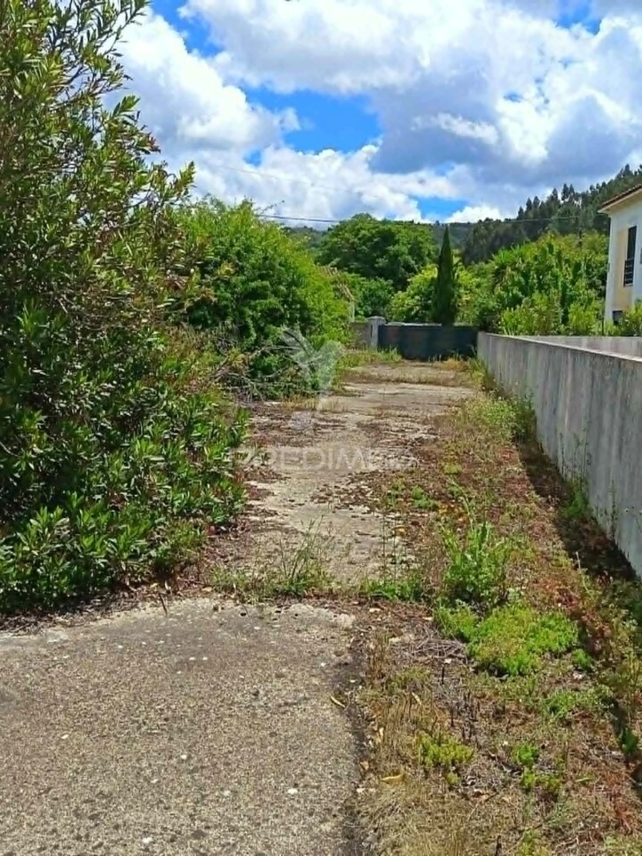 Moradia T4 para Venda em Ribeira de Nisa e Carreiras Foto 22