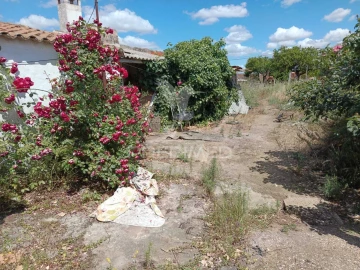 Terreno para Venda em Montoito
