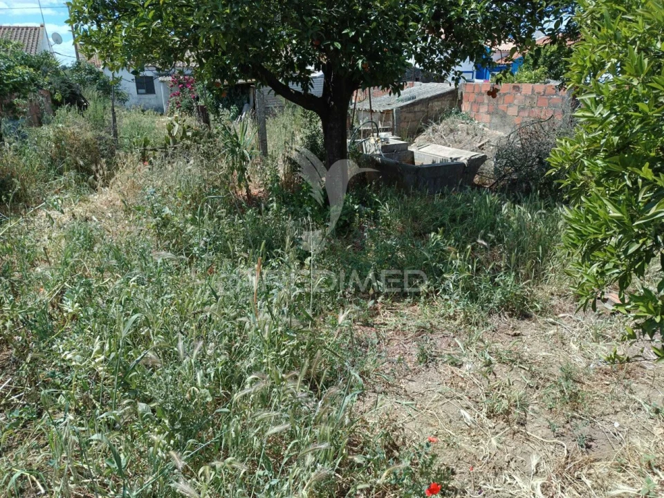 Terreno para Venda em Montoito Foto 5