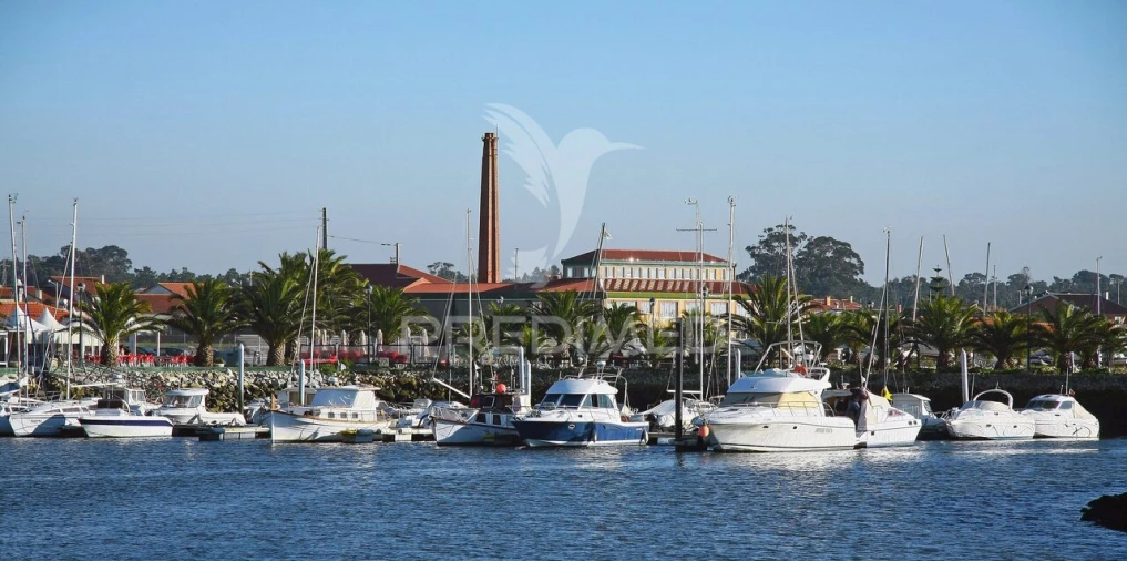 Terreno para Venda em Gafanha da Encarnação