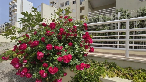 Apartamento T2 para Venda em Armação de Pera