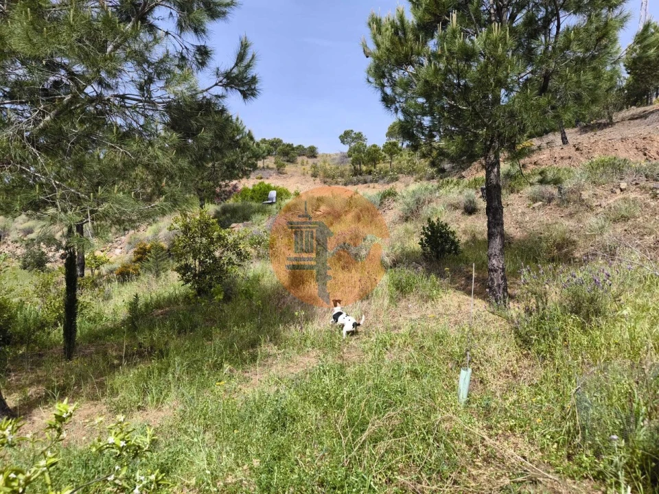 Terreno para Venda em Vila Nova de Cacela Foto 23
