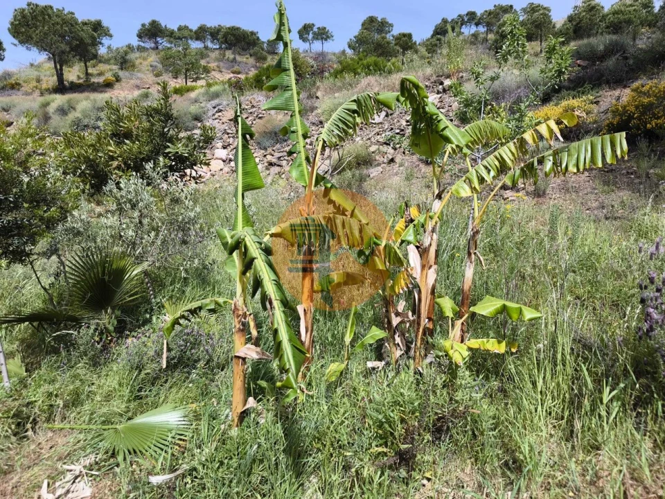 Terreno para Venda em Vila Nova de Cacela Foto 26