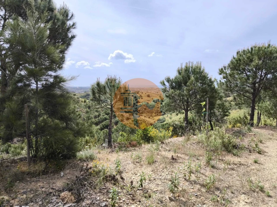 Terreno para Venda em Vila Nova de Cacela Foto 31