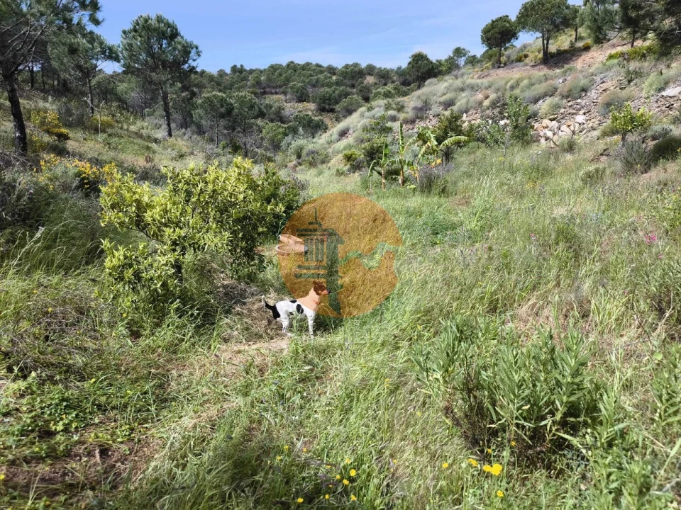Terreno para Venda em Vila Nova de Cacela Foto 32