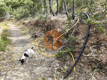 Terreno para Venda em Vila Nova de Cacela