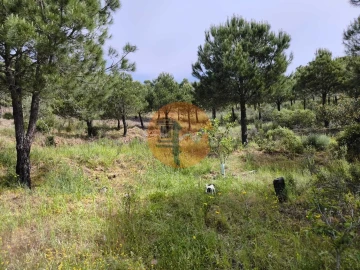 Terreno para Venda em Vila Nova de Cacela