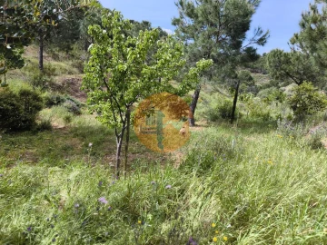 Terreno para Venda em Vila Nova de Cacela