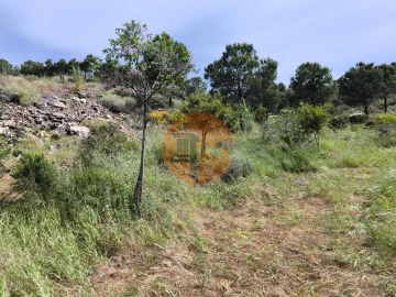 Terreno para Venda em Vila Nova de Cacela