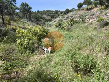 Terreno para Venda em Vila Nova de Cacela
