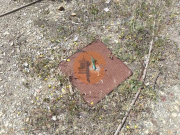 Terreno para Venda em Vila Nova de Cacela