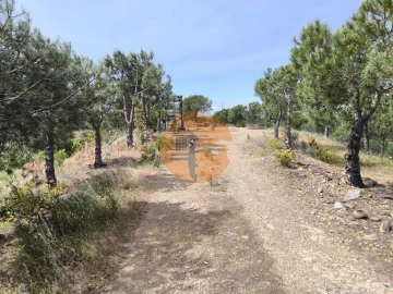 Terreno para Venda em Vila Nova de Cacela