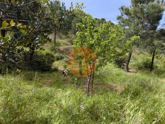 Terreno para Venda em Vila Nova de Cacela Foto 21