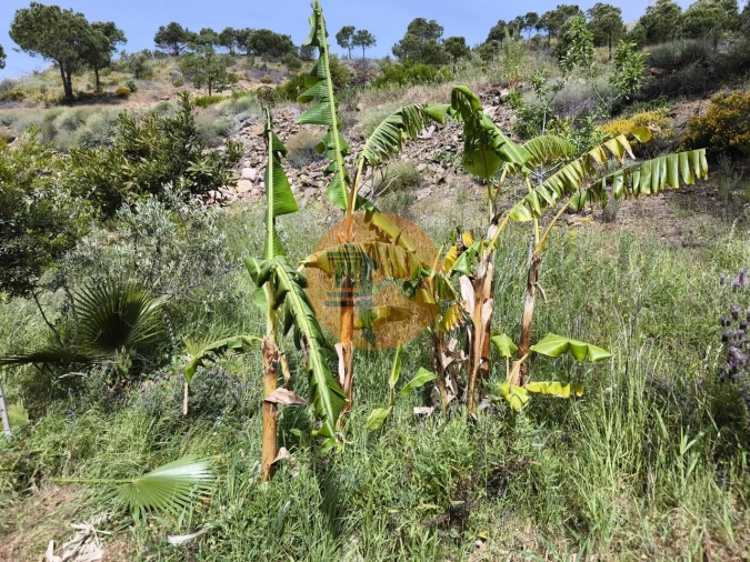 Terreno para Venda em Vila Nova de Cacela Foto 26