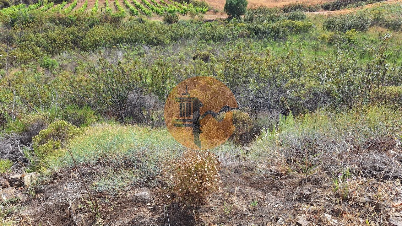 Terreno para Venda em Odeleite Foto 6