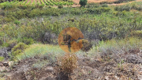 Terreno para Venda em Odeleite