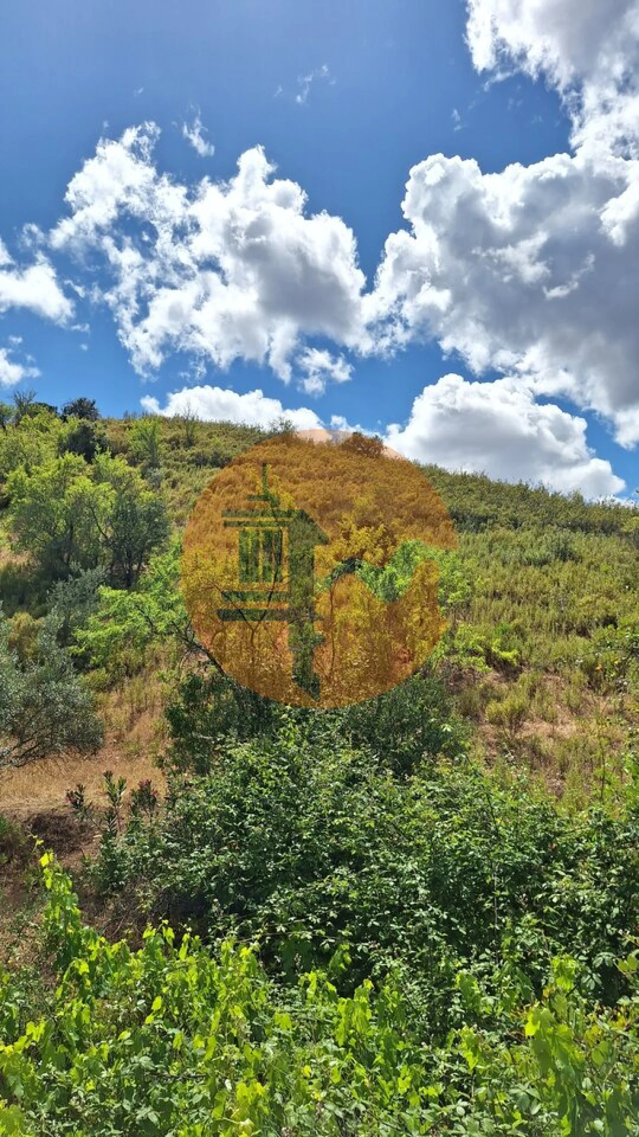 Terreno para Venda em Odeleite Foto 3