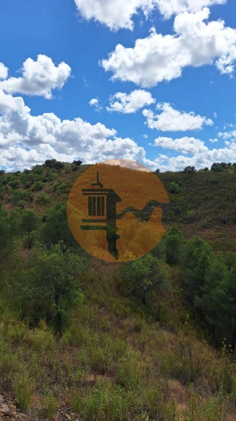 Terreno para Venda em Odeleite